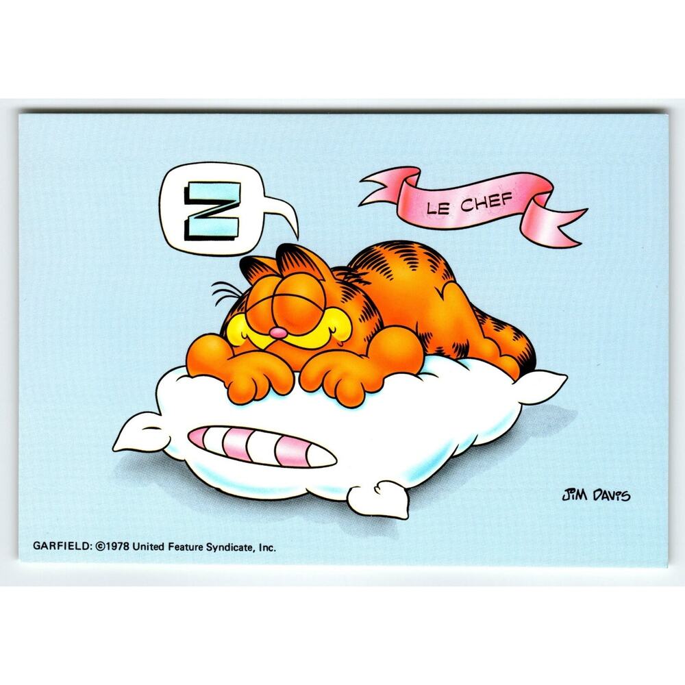 Vintage 1978 Garfield Le Chef Postcard - Jim Davis Cartoon Continental 6x4"